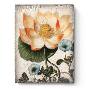 Sid Dickens “Sacred Lotus” T407